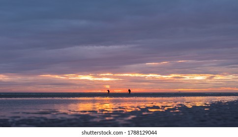 Men On Normandy Beach During Sunset Look For Worms To Use As Bait For Fishing