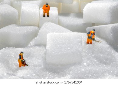 Men On Suger Hills In Macro