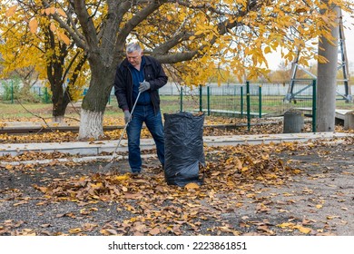 The men are raked into a pile of autumn leaves for composting.
 - Powered by Shutterstock