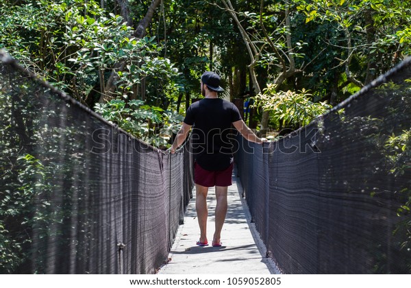 Men traveling in a tropical jungle on a wooden bridge\
on a summer day