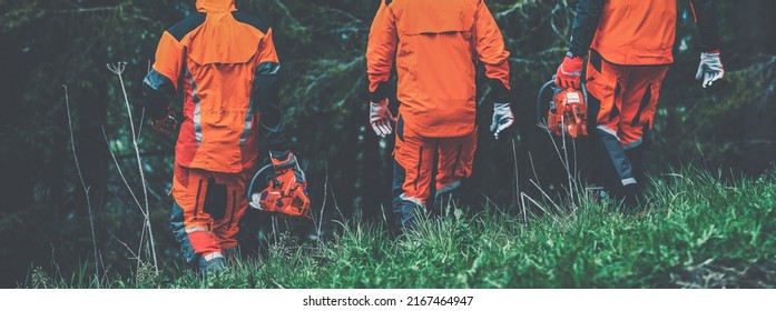 Men walking in the forest holding a chainsaw and garden tools. Lumberjacks at work wears orange personal protective equipment. Gardeners working outdoor in the forest. Security forestry worker concept