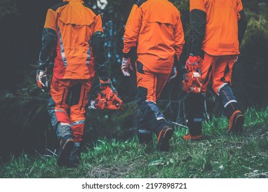 Men walking in the forest holding a chainsaw and garden tools. Lumberjacks at work wears orange personal protective equipment. Gardeners working outdoor in the forest. Security forestry worker concept - Powered by Shutterstock