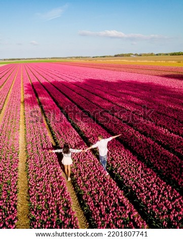 Men and women in flower fields seen from above with a drone in the Netherlands, Tulip fields in the Netherlands during Spring Stock foto © 