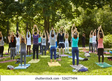 Men and women make exercises during yoga training on grass at summer day in park, rear view.