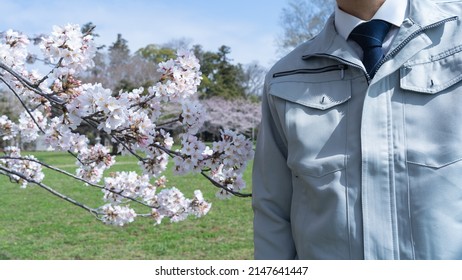 Men in work clothes. Spring cherry blossom landscape. He joins the construction industry.