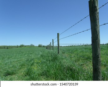 Mena, Arkansas / USA - April 12 2019:  A Perspective Image Looking Down A Barbwire Fence Line On An Old Cattle Farm In The Spring.