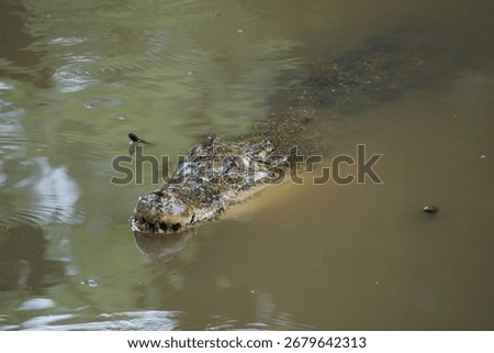 menace from the deep river