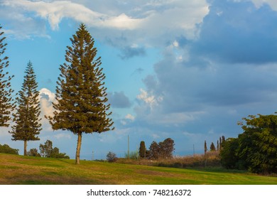 Menachem Begin Park Background