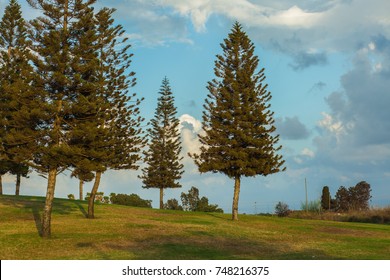 Menachem Begin Park Background