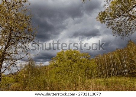 Menacing storm clouds fill the dramatic sky above vibrant, fresh spring foliage. A moody natural landscape showcasing raw power and emerging life