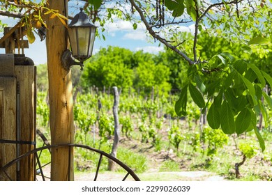 Mendoza, Argentina wine capital, winery fields and grapevines that produce famous Argentinian wine. - Shutterstock ID 2299026039