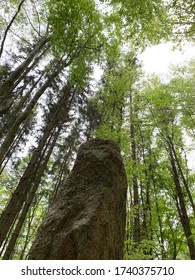 Menhir In A Forest In The Czech Republic