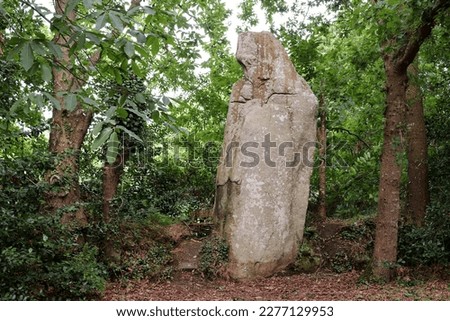 Menhir La Bonne Femme - in English The Good Woman - in Veades near Trebeurden in Brittany, France