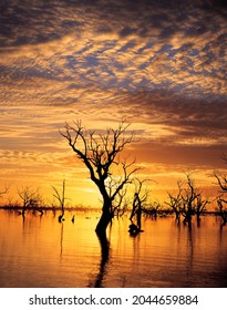 Menindee Lakes, New South Wales At Sunset.