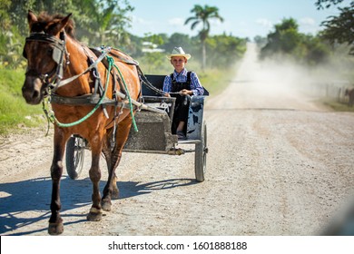 Mennonite, Belize - 12/05/2019: Young Amish Boy From Community Driving A Carriage On The Road