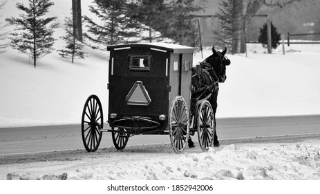 A Mennonite Horse And Buggy Photographed On A Snowy Winter Afternoon In Ontario.