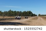 Mennonites, Amish. Children go to school on rural roads.          The immigration of German-speaking Mennonites to Argentina began in the years 1985 to 1987, from Mexico, Belize, Paraguay and Bolivia.