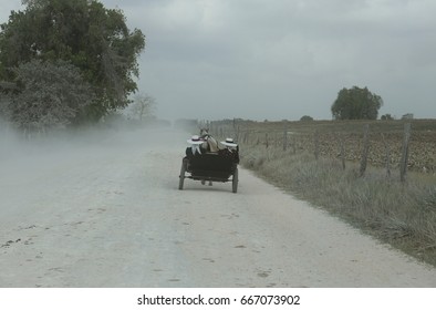 Mennonites Of Belize