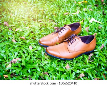 Men's brown leather fashion shoes. For work wear. Put on the green grass. - Powered by Shutterstock