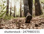 mens foot steps in the forest 