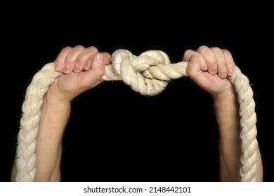  Men's hands tighten a thick rope into a knot. The concept of willpower. Isolate on a black background.                              