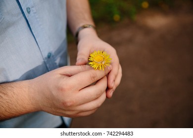 In the men's hands a wild flower. Engagement ring. Offer hands - Shutterstock ID 742294483