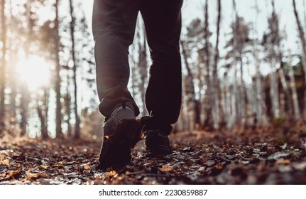 mens walk in autumn forest  - Shutterstock ID 2230859887