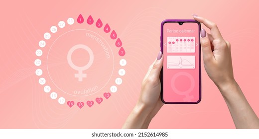 Menstrual cycle tracker mobile app on smartphone screen in hands of woman, graphic representation of period calendar on pink background. Modern technologies for women's health, pregnancy planning