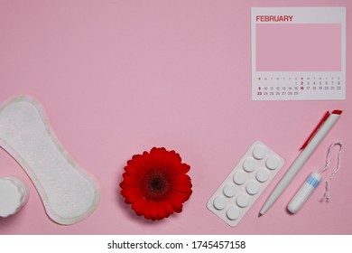 Menstrual Sanitary Tampon, Pad, Pain Pills During Menstruation And Red Flower On Pink Background, Feminine Calendar With Copy Space. Feminine Hygiene Products. Top View. Mock Up