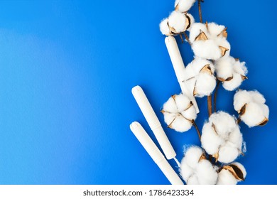 Menstrual Tampons With Cotton Flowers On Blue Background. Cotton. Women's Health Care, Cotton Tampon, Intimate Hygiene, Gynecological Menstruation Cycle. Copy Space, Top View. Mock Up