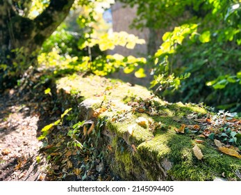 Menthon Saint Bernard, France - September 12 2021 : Moss And Leaves On A Classic Stone Edge Of A Road In Historic French Village