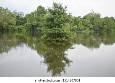 Meramec River Overflowing It's Banks 