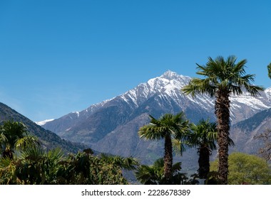 Merano (Meran) in South Tyrol: panoramic view of the mountain  as seen from Tappeinerweg- Trentino Alto Adige, northern Italy - Shutterstock ID 2228678389