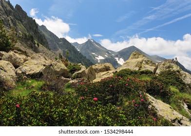 Mercantour national park, Alpes Maritimes, France