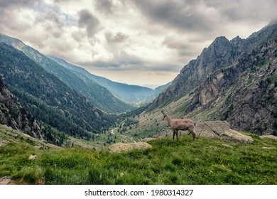 Mercantour National Park In France