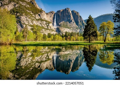 The Merced River perfectly reflects early morning Yosemite Falls and the surrounding meadow - Powered by Shutterstock