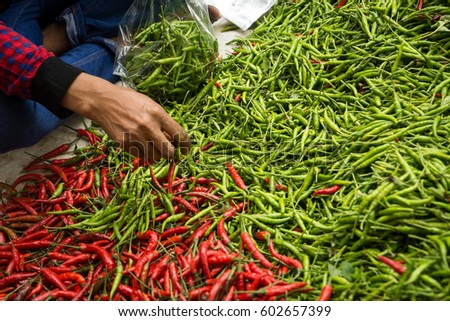 Merchant pick out chili pepper in the "WAT-SAMAN-RATTANARAM market" for sell