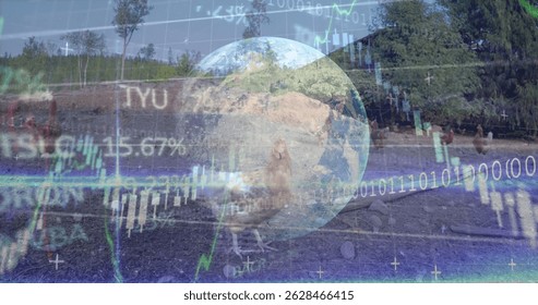 Merging farmyard chickens on dirt at rural farm, with candlestick graphs and glowing Earth globe. Rural, technology, finance, agriculture, innovation, digital, data