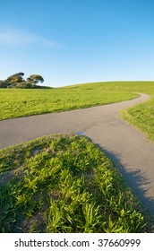 Merging Path On Green Landscape