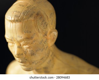 Meridian Lines On An Acupuncture Figurine