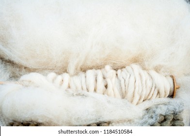 Merino Sheep Wool On A Spinning Wheel