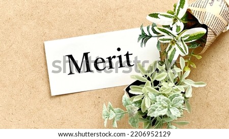 Merit letters on white paper and plants on corkboard