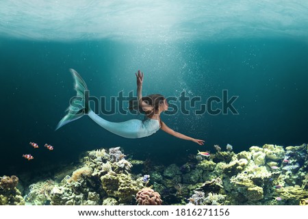 Mermaid with long tail swimming under the waters of the ocean coral reefs.