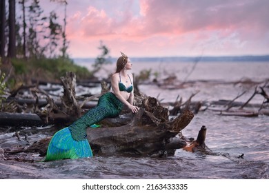 Mermaid story. The little mermaid sits on the seashore. Mermaid at sunset. Mermaid's tail. Mermaid costume. Long hair.