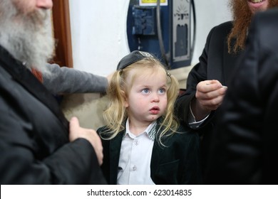 MERON ,ISRAEL- March 26, 2017: An Unidentified Hasidic Rabbi Gives First Haircut To An Unidentified Jewish Hasidic Boy With Blond Curls As Is Tradition Upon The Grave Of Rabbi Shimon On Lag Ba'omer.
