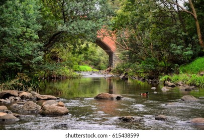 Merri Creek Melbourne Australia