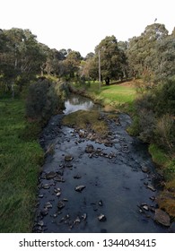 Merri Creek, Victoria, Australia