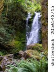 Merriman Falls waterfall, in a daytime long exposure, near Lake Quinault in Olympic National Park