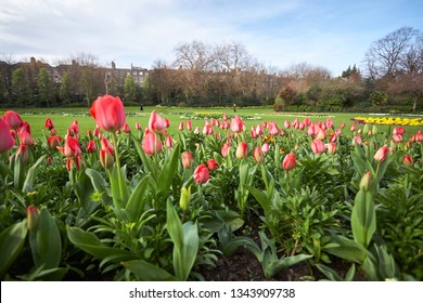 Merrion Square In Dublin City, Ireland