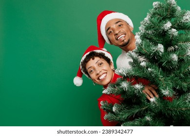 Merry cheerful fun joyful satisfied young couple friends man woman wear red casual clothes Santa hat posing hold Christmas tree isolated on plain green background. Happy New Year 2024 holiday concept - Powered by Shutterstock